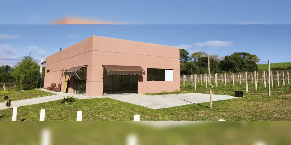 Há três gerações, a família Sozim se dedica à produção de uvas, em uma pequena propriedade localizada em Ponta Grossa