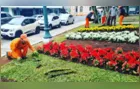 Prefeitura retira um dos decks da Praça Floriano Peixoto