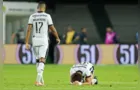 Botafogo deixa maior vantagem da história escapar e perde título
