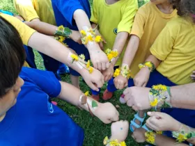 Com um passeio pela área da escola, as crianças realizaram a coleta de folhas e flores