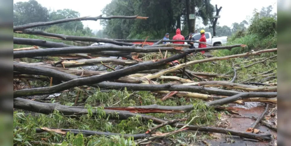 O falecimento de Antônio Celso foi causado pela queda de uma árvore durante um temporal, que ocorreu em 23 de dezembro de 2023