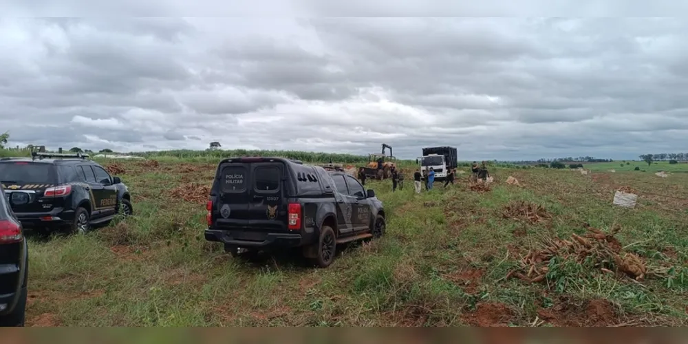 Agentes de segurança localizaram a fazenda no município de Icaraíma