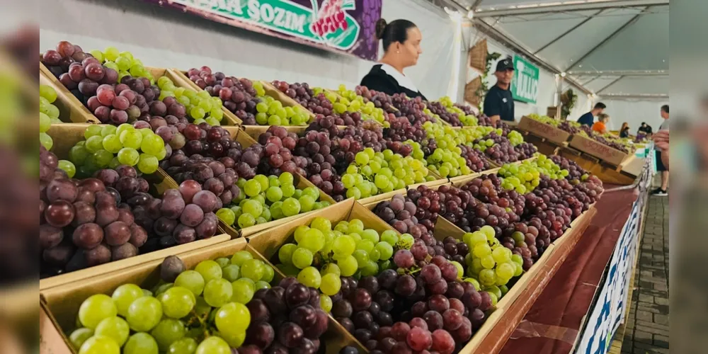 O quilo da uva está sendo vendido a R$ 10,00