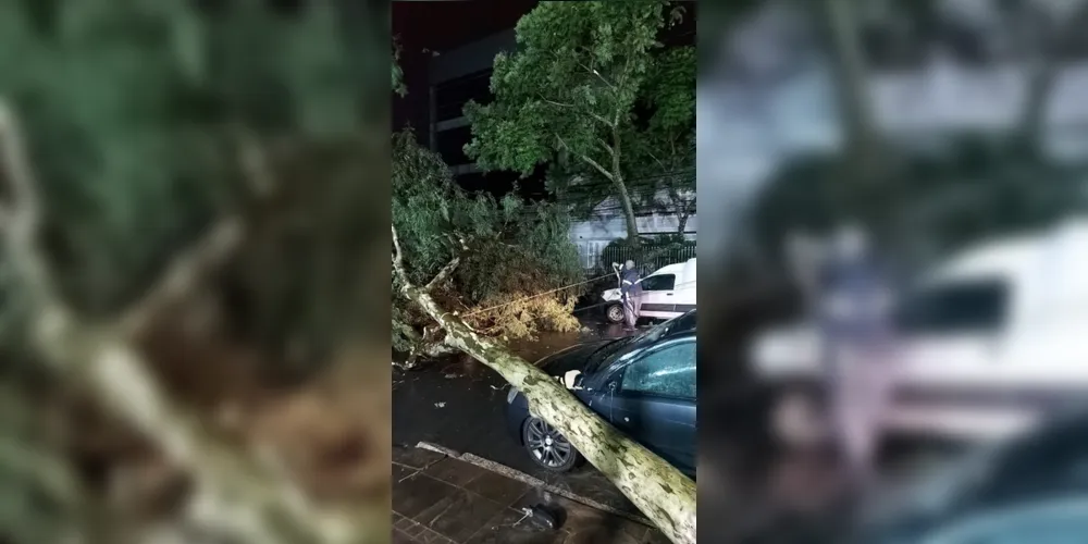 Em Cachoeirinha, 600 residências ficaram destelhadas e foram registradas quedas de mais de 200 árvores e de 150 postes.