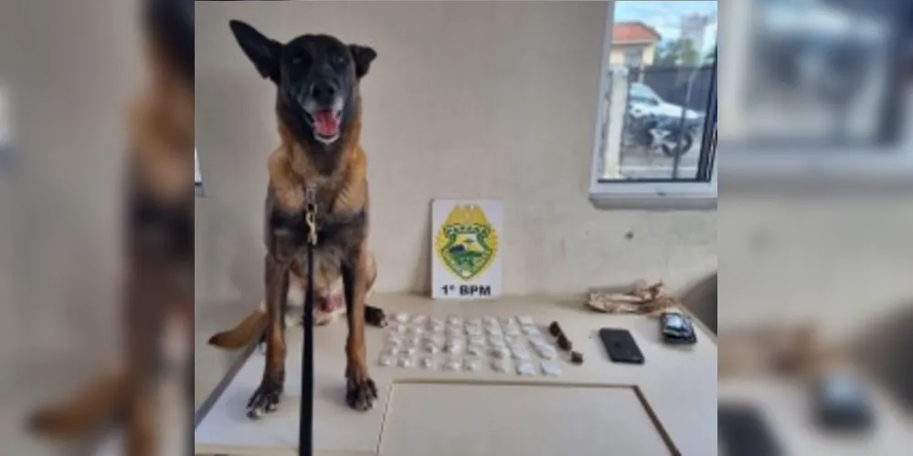 Os policiais convocaram o cão de detecção, 'Bolt'