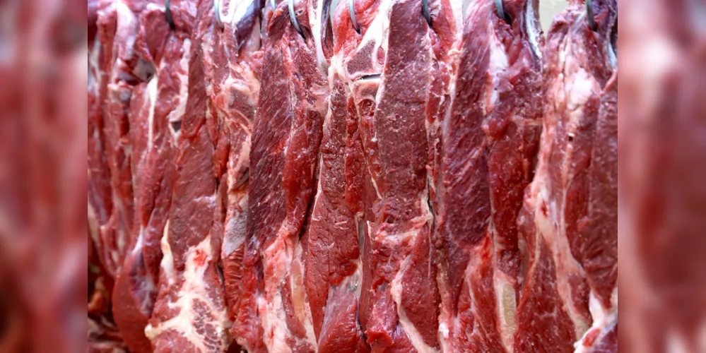 Em 2023 o Brasil exportou mais de US$ 10,5 bilhões em carne bovina, correspondendo a 2,28 milhões de toneladas
