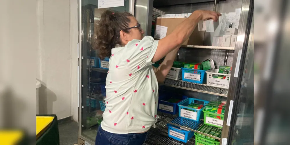 Estado distribui vacinas da dengue às Regionais de Saúde e promove instrução de aplicação - 9ª RS de Foz do Iguaçu