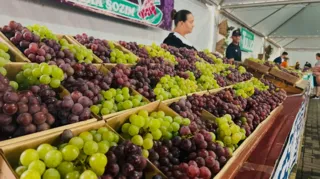 O quilo da uva está sendo vendido a R$ 10,00
