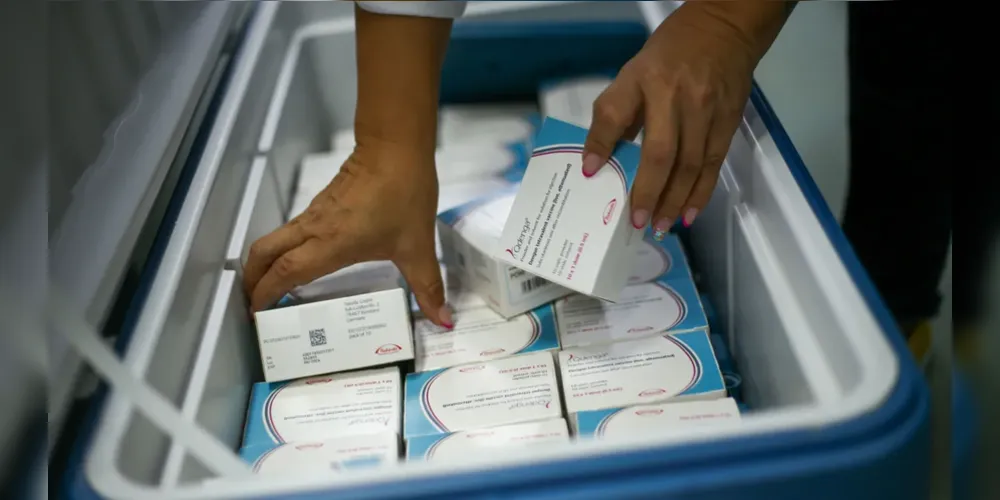 Vacinas contra a dengue disponibilizadas pelo SUS