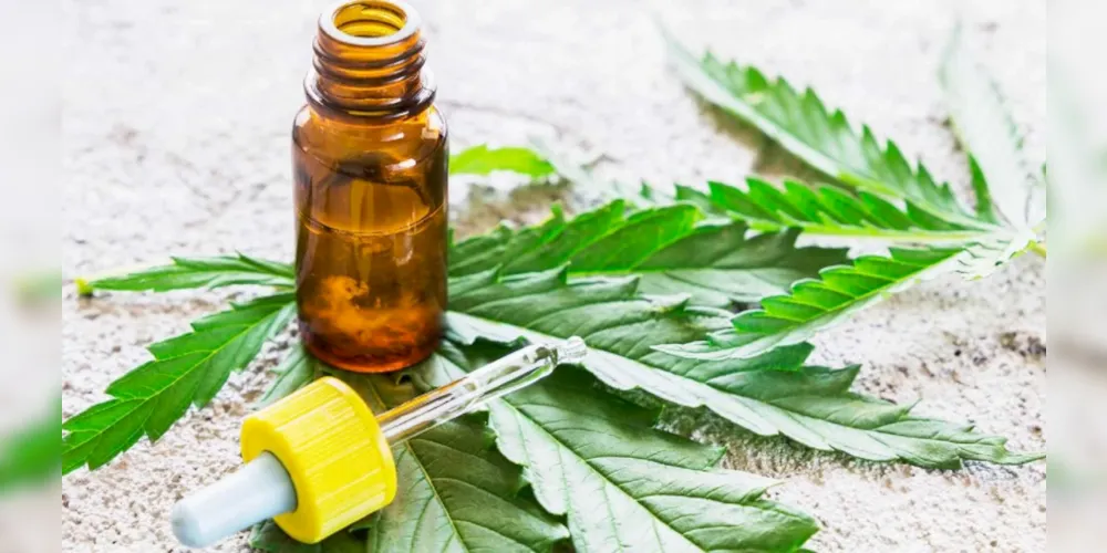 Lei Municipal estabelece programa para distribuição de medicamentos derivados da cannabis