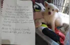Garoto deixa cão em abrigo para salvar de maus-tratos do pai