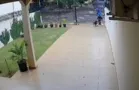 Funcionário terceirizado da Sanepar agride cachorro com bastão