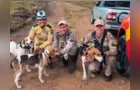 Cães de caça são resgatados por bombeiros em PG