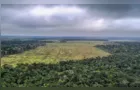 Plataforma monitora risco de desmatamento na Amazônia Legal