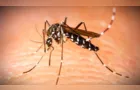 Fundação de Saúde confirma segunda  morte por dengue em PG