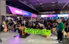 Protesto em aeroporto pede mudanças no transporte de animais