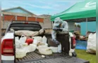 Piraí recolhe 2,8t de embalagens de agrotóxicos
