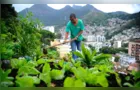 Produção local pode melhorar alimentação em centros urbanos