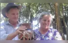 Identificado casal morto após ser arrastado por temporal no PR
