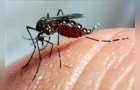 Ponta Grossa ultrapassa 3.500 casos confirmados de dengue