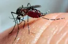 Ponta Grossa ultrapassa 3,5 mil casos confirmados de dengue