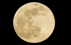 “Lua Cheia Rosa” será visível em todo o país nesta terça-feira