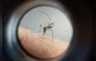 Prefeitura de Ortigueira realiza ação de combate à dengue