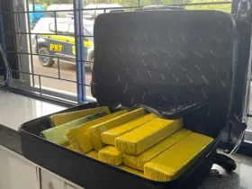 Os policias encontraram 15,5 kg de maconha na mala