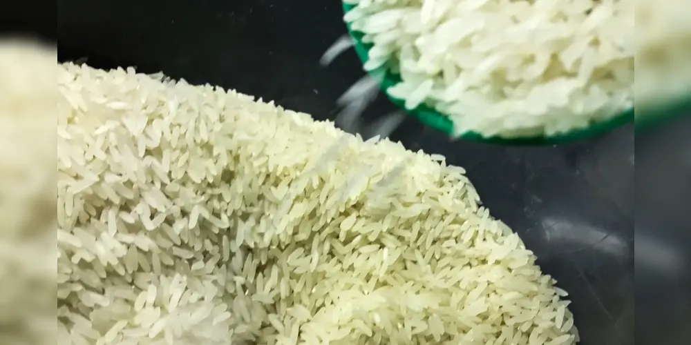 Mais de 260 mil toneladas de arroz seriam compradas pelo Governo Federal