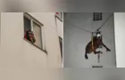 Égua é resgatada do 3° andar de prédio no RS; veja vídeo