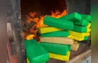 Polícia Civil incinera mais de 970 kg de drogas em Palmeira