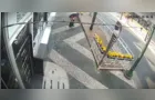 Vídeo flagra homem defecando em avenida de Ponta Grossa