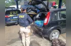 PRF intercepta entrega e tráfico perde 130 kg de drogas em PG