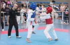 Alunas de PG ganham medalha no Paranaense de Taekwondo