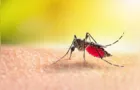 Ponta Grossa ultrapassa 7 mil casos de dengue confirmados