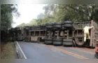 Caminhão tomba e interdita totalmente PR-151, em Palmeira