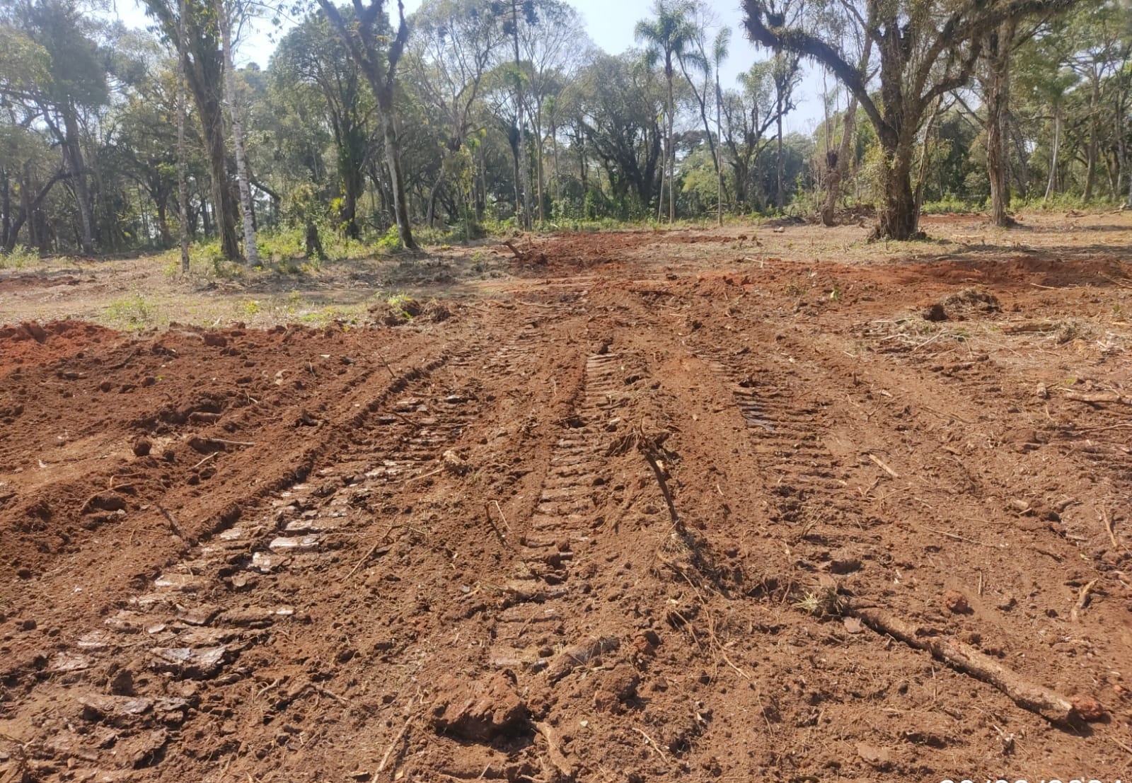 Proprietário rural é multado em mais de R$ 30 mil por danos