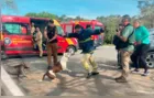 Pitbulls atacam jovem e bombeiros em parque do PR