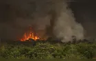 Dono de propriedade coloca fogo no mato e acaba na delegacia