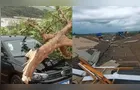 Tempestade causa destruição no Paraná; veja vídeo