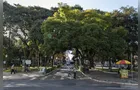 Plano de Arborização já mapeou mais de 2,2 mil árvores em PG