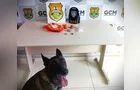 Cão da Guarda Municipal localiza drogas em Ponta Grossa