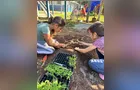 Estudantes de Tibagi protagonizam cuidados com horta escolar