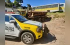 Caminhão é apreendido com toras de araucária em Piraí do Sul; espécie está em extinção