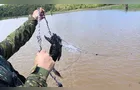 PM Ambiental apreende redes de pesca predatória e salva ave na Represa de Mauá