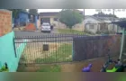 Cachorro é agredido a pedrada no Residencial Athenas em Ponta Grossa