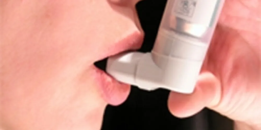 Imagem ilustrativa da imagem Crises de asma afetam pacientes no verão