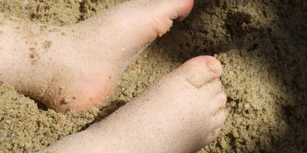 Imagem ilustrativa da imagem Proteja-se das doenças típicas do verão