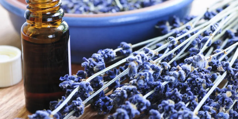 Imagem ilustrativa da imagem Aromaterapia pode ajudar a combater a insônia