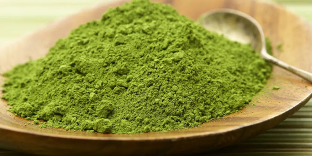 Imagem ilustrativa da imagem Pó de matcha: ótimo aliado para quem quer perder peso